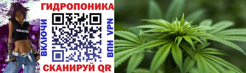Бошки марихуана семена  даркнет сайт  Минусинск 